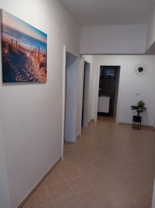 Apartment Dora-100M From The Central Beach Makarska Exteriör bild